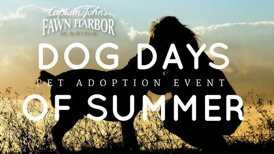 Dog Days of Summer - Big Bear Lake Adoption Event