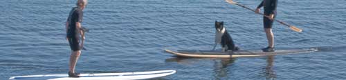 sup-rentals